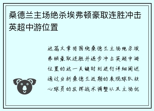 桑德兰主场绝杀埃弗顿豪取连胜冲击英超中游位置